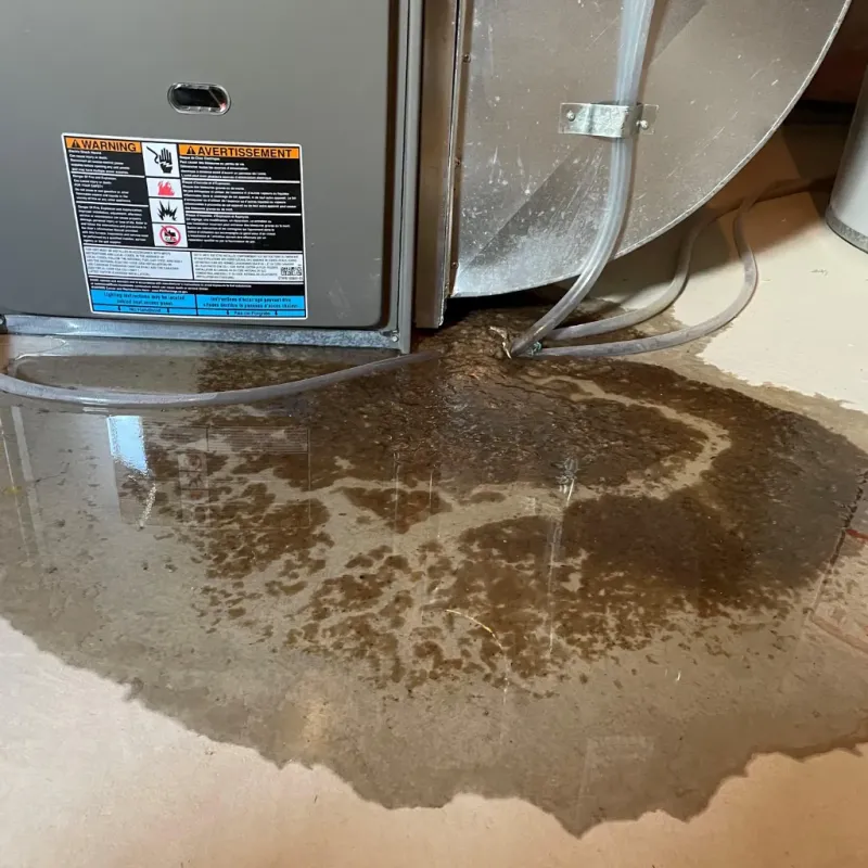 Appliance Leak Cleanup in Grayson Valley, AL